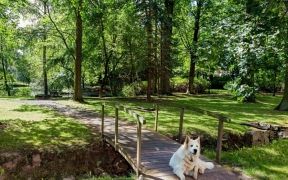 Schlosshotel Urlaub mit Hund 800x600 Schlosshotel Urlaub mit Hund 800x600
